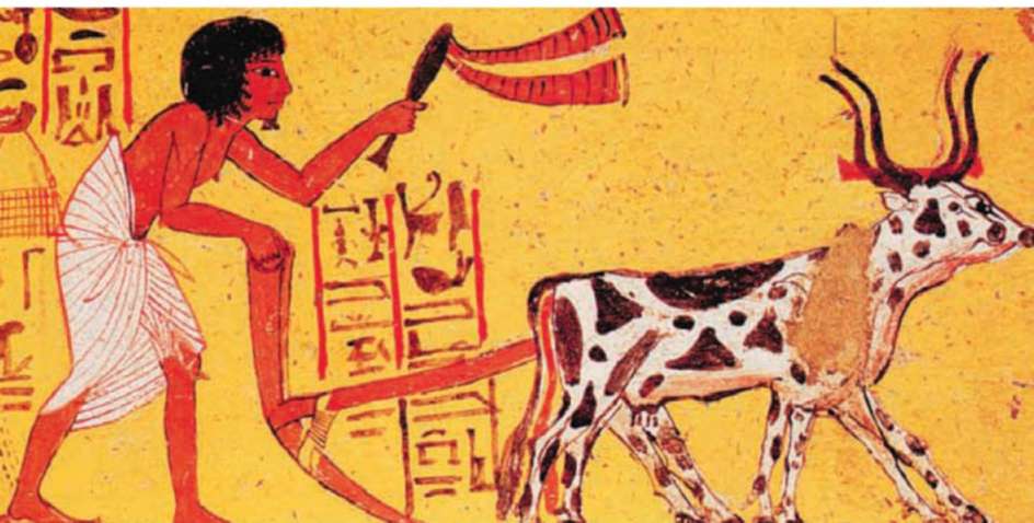 Земледелие в древнем Египте
